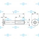 ISO 10642-T-100-P(TG)-Model